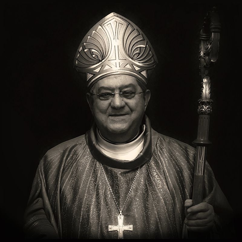 foto cardinalre